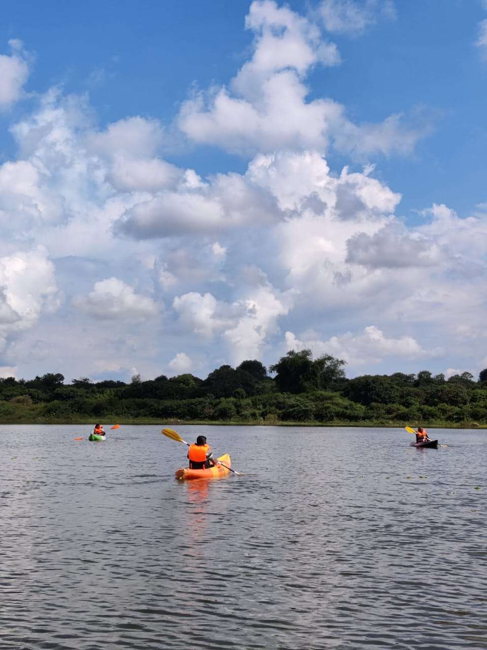 Adventures Surprise 1