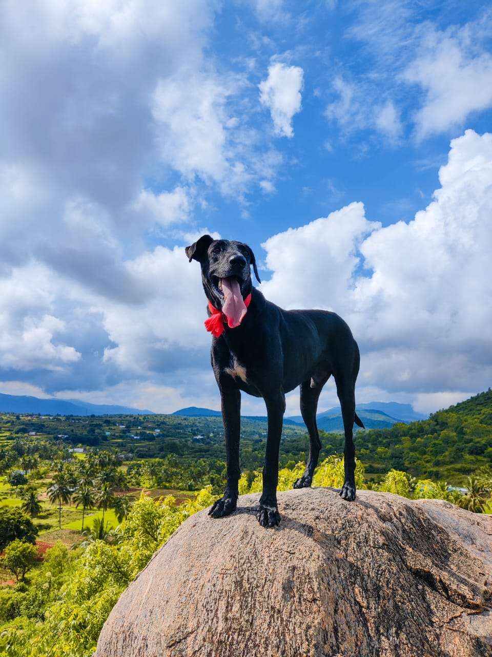 Adventures Surprise8